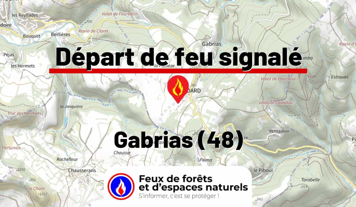 Gabrias (48)