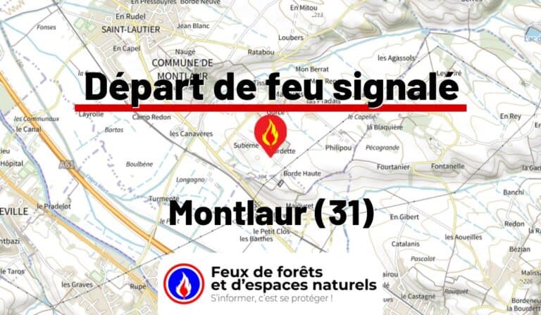 Montlaur (31)