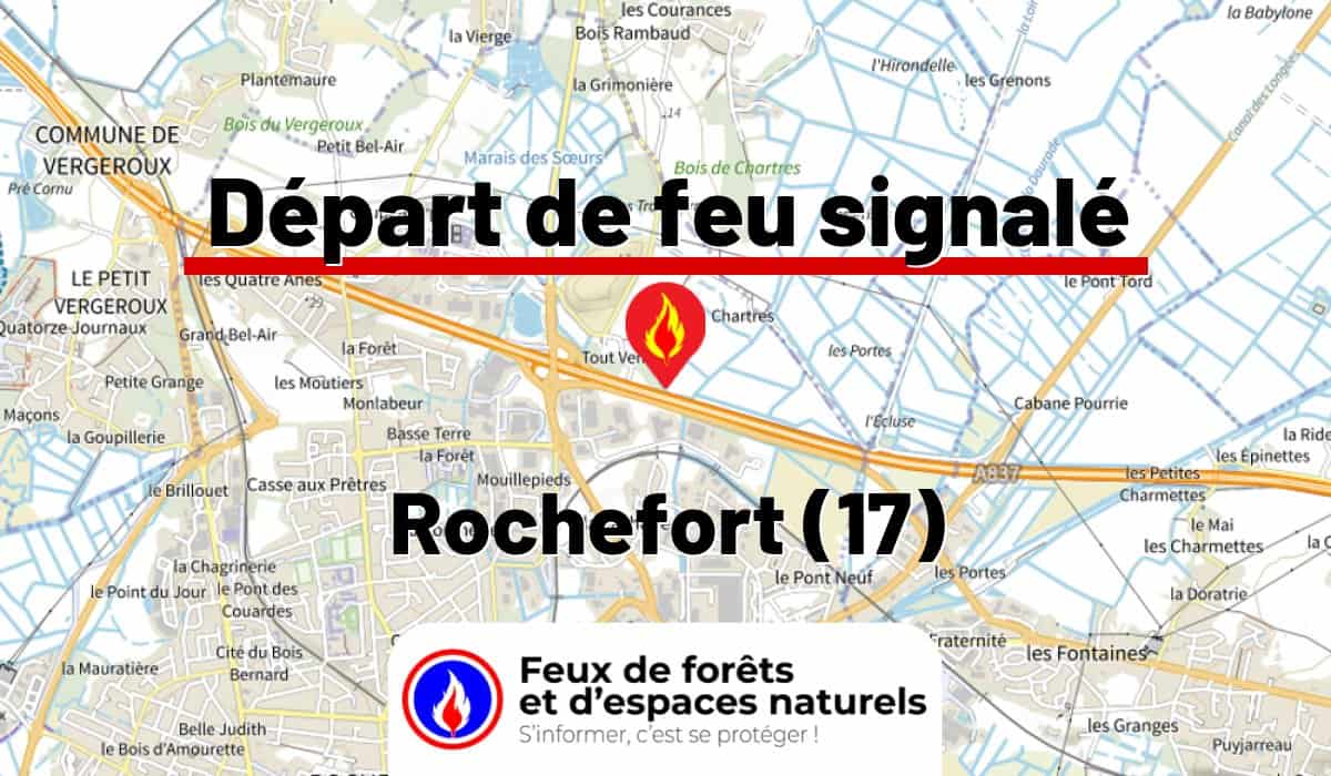 Rochefort (17)
