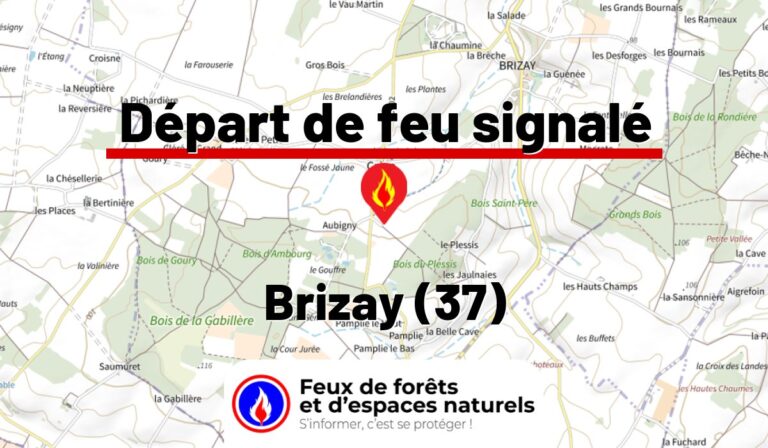 Brizay (37)