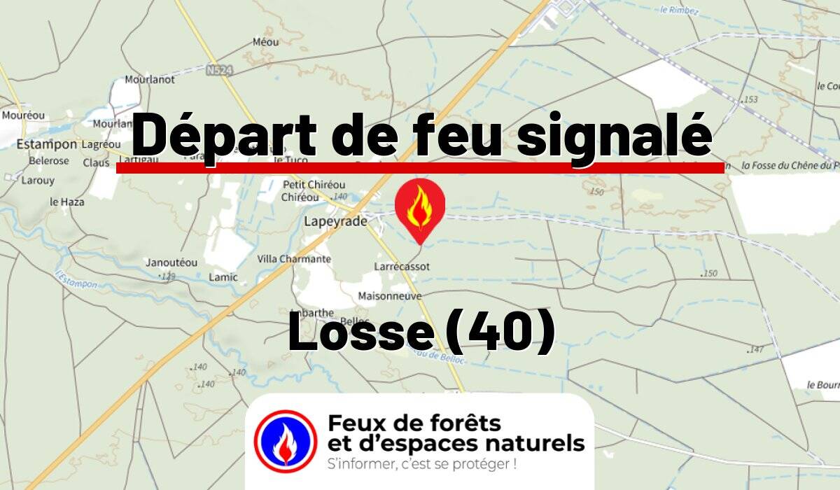 Losse (40)