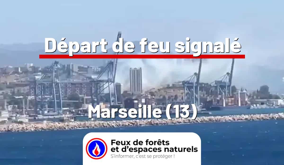 Marseille (13)