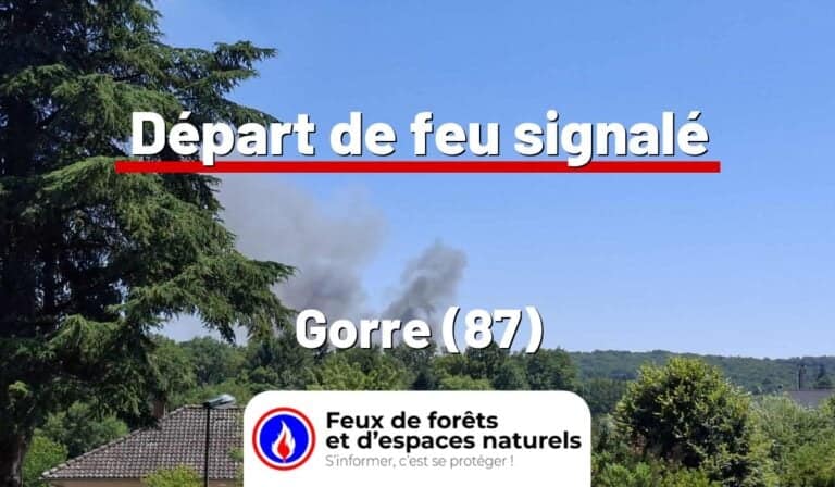 Gorre (87)