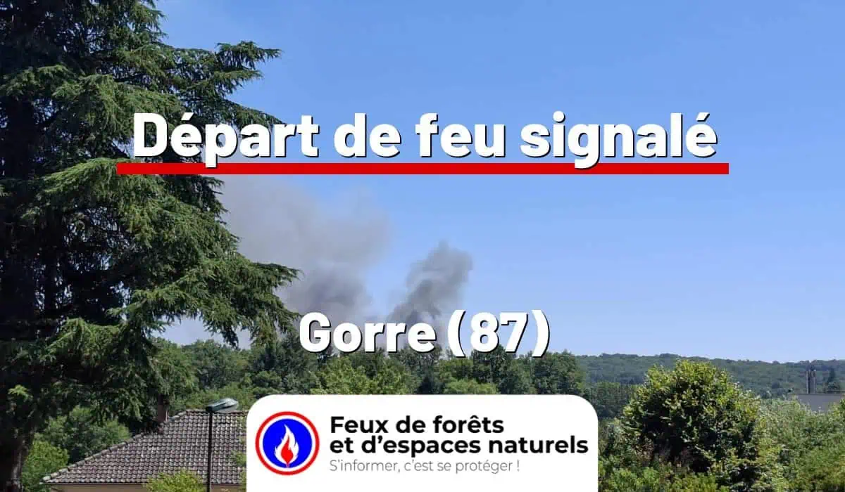 Gorre (87)