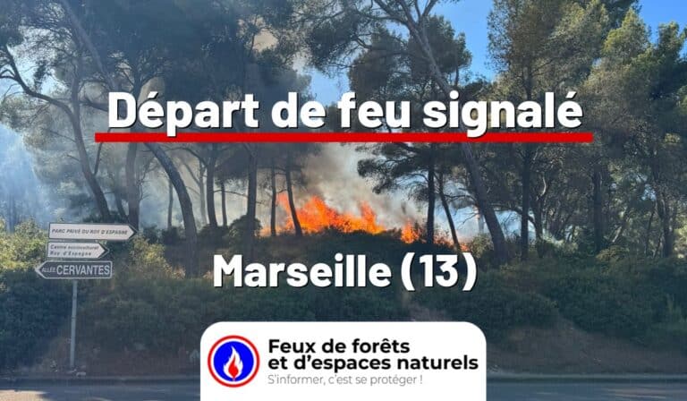 Marseille (13)
