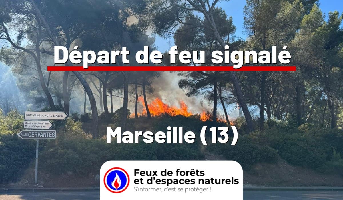 Marseille (13)