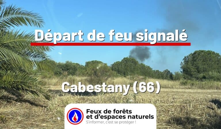 Cabestany (66)