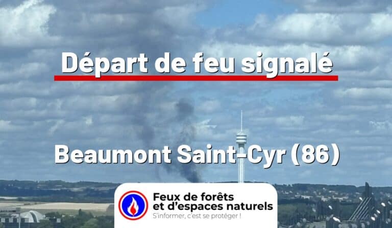 Beaumont Saint-Cyr (86)