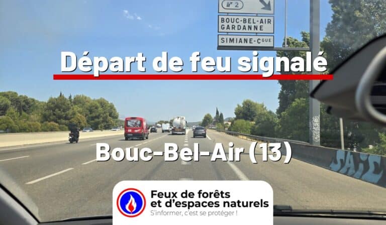 Bouc-Bel-Air (13)