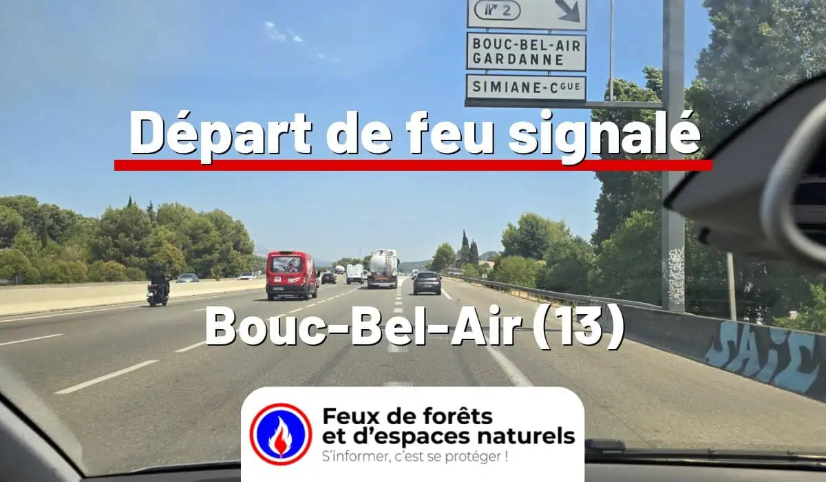 Bouc-Bel-Air (13)