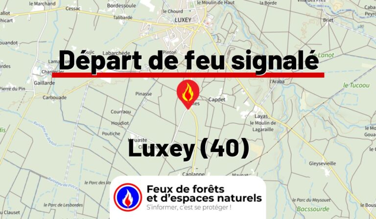 Luxey (40)