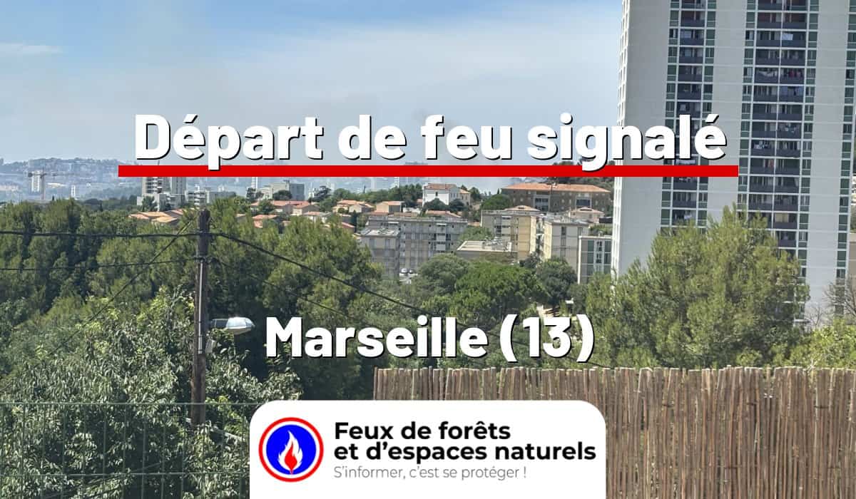 Marseille (13)