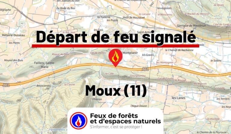 Moux (11)