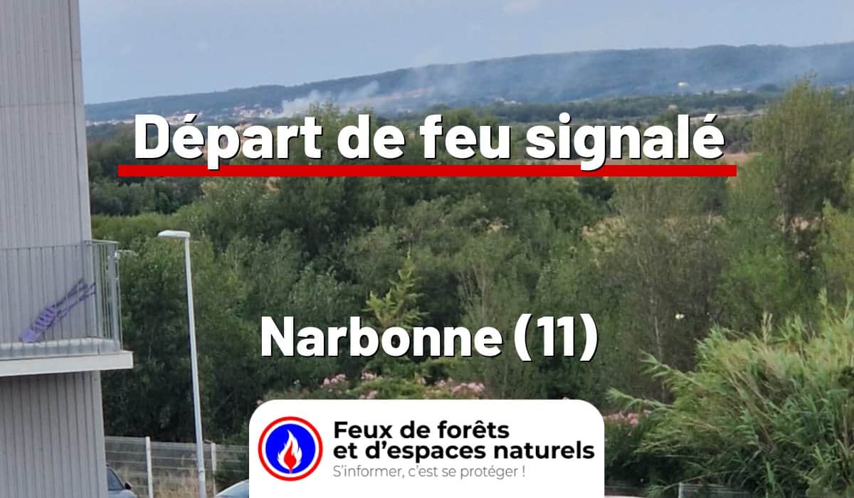Narbonne (11)