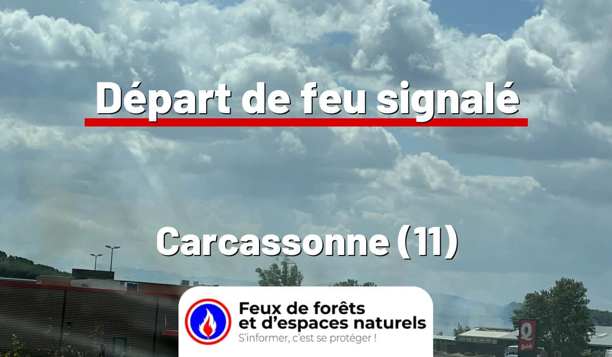 Carcassonne (11)