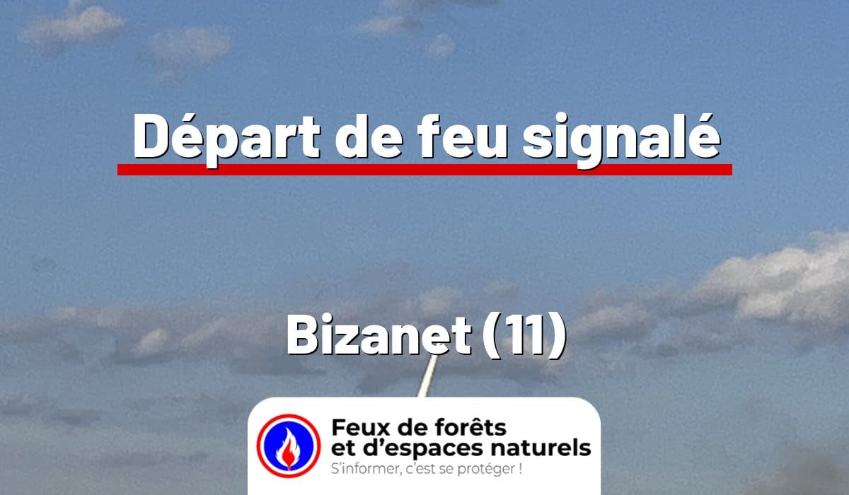 Bizanet (11)