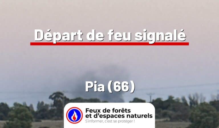 Pia (66)