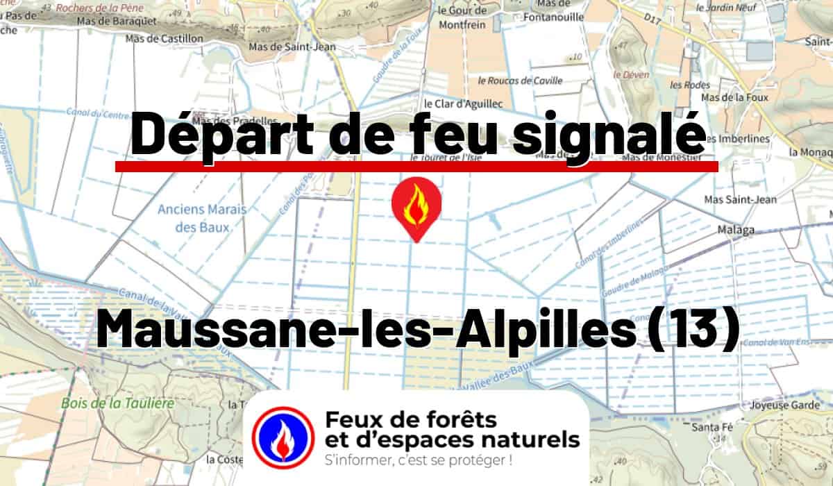 Maussane-les-Alpilles (13)