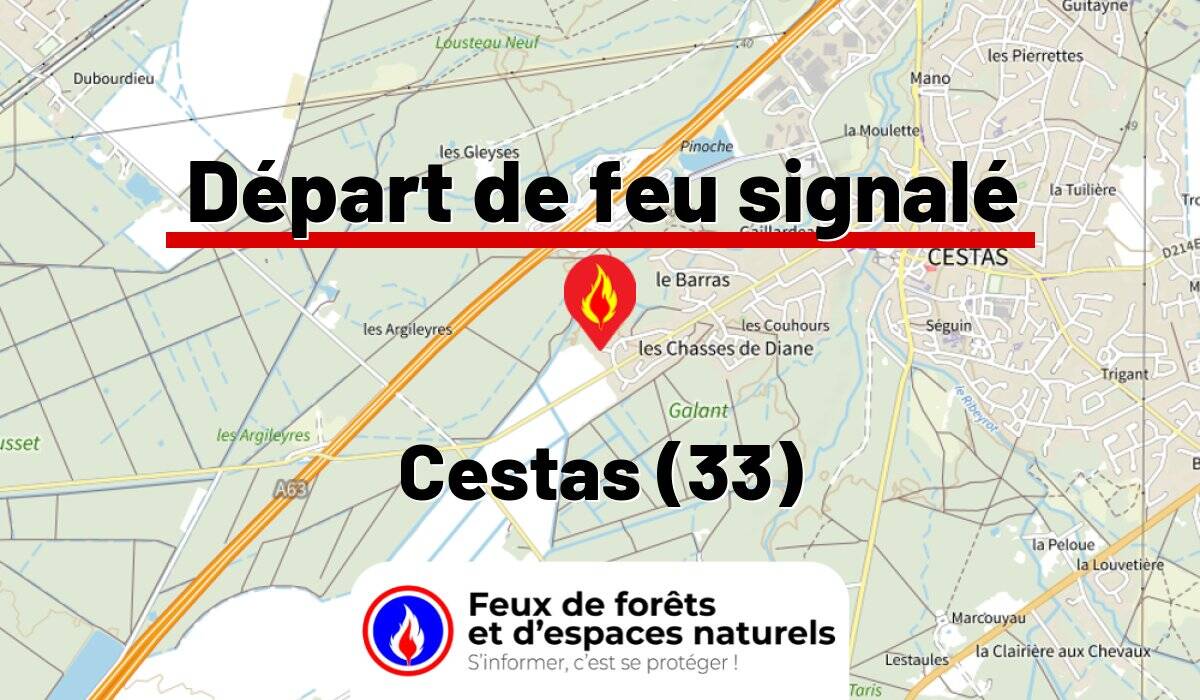 Cestas (33)