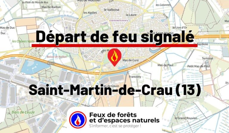 Saint-Martin-de-Crau (13)