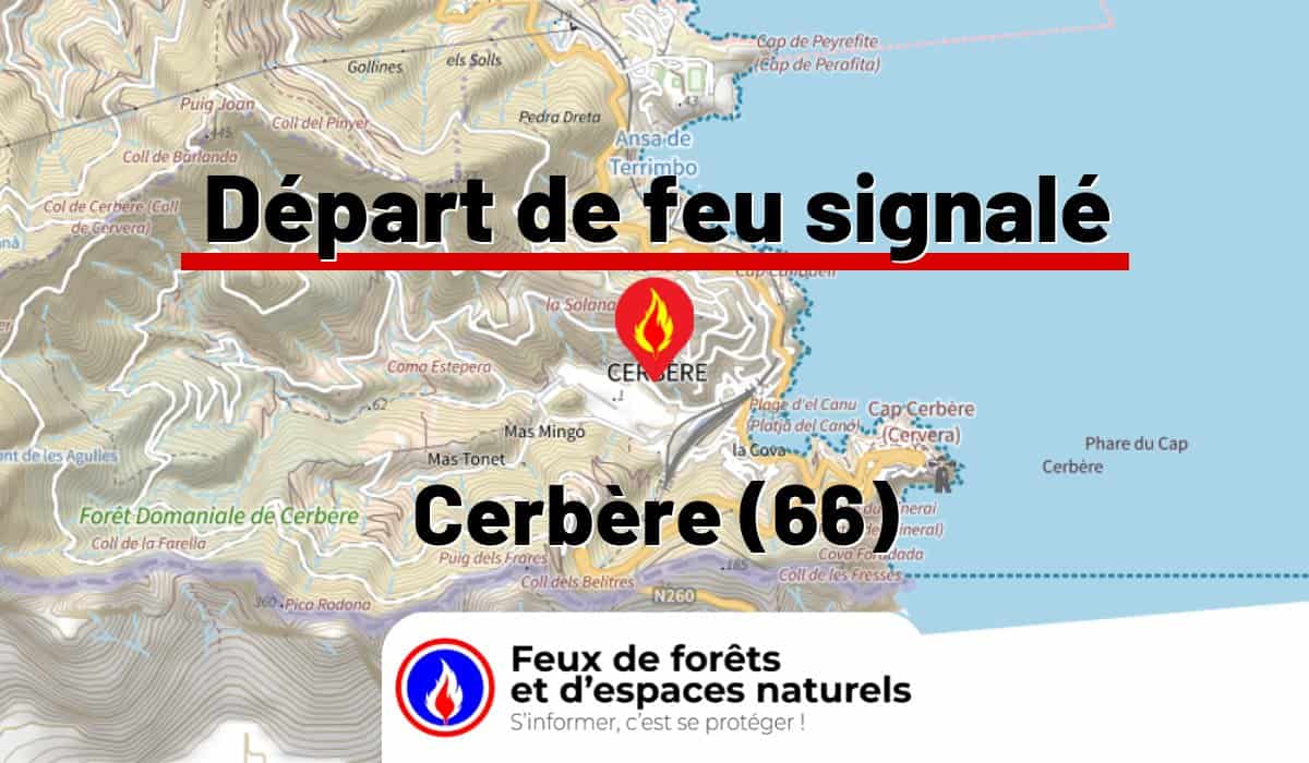Cerbère (66)