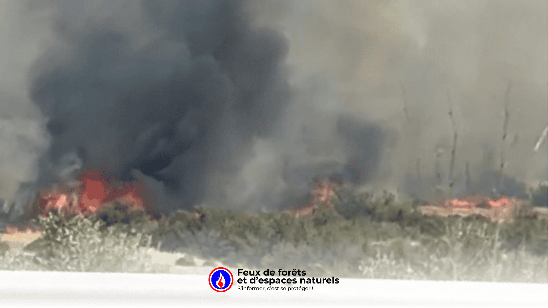 Incendie à Sigean : ce que l’on sait sur le feu dans l’Aude