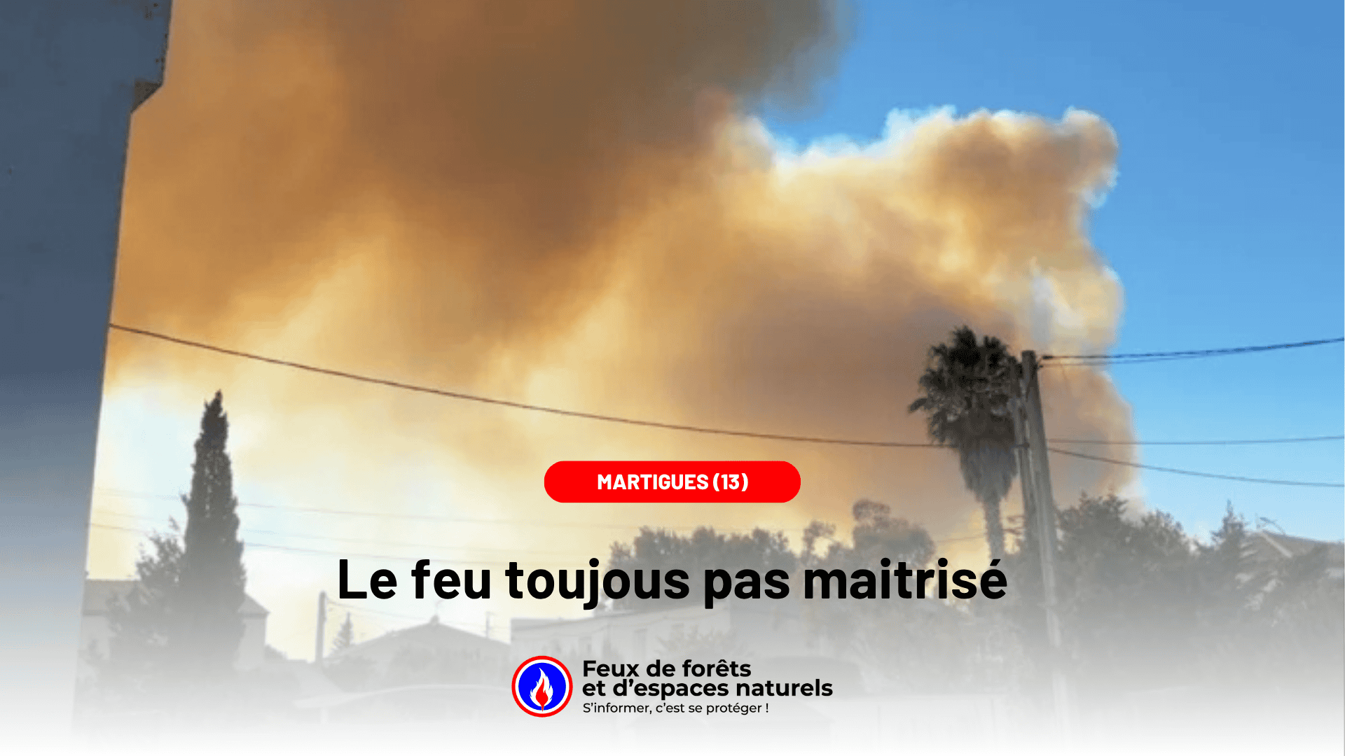 Martigues (13) : 1 000 pompiers mobilisés face à un feu non maîtrisé