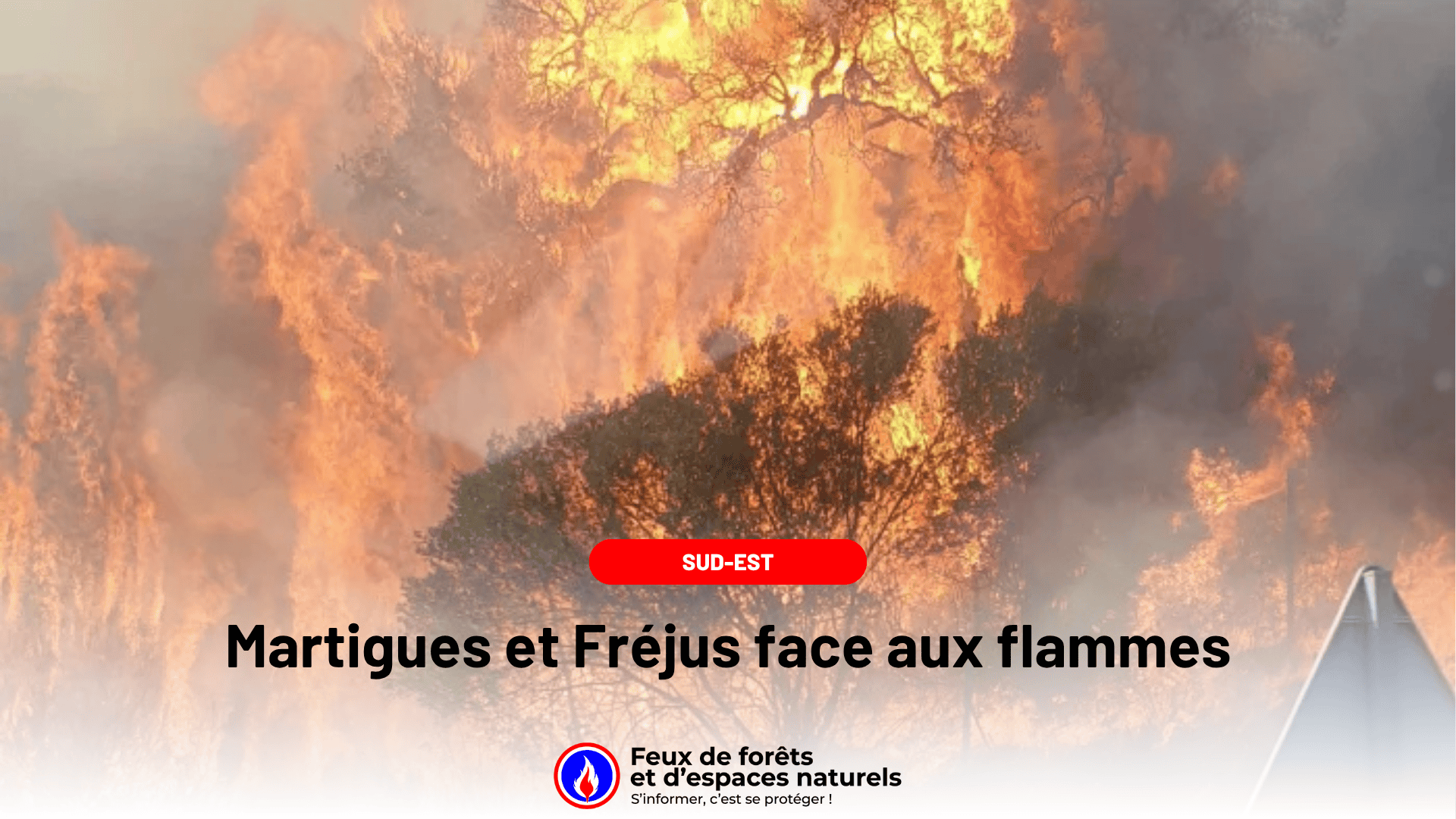 Martigues (13) et Fréjus (83) sous la menace des flammes ce jeudi soir