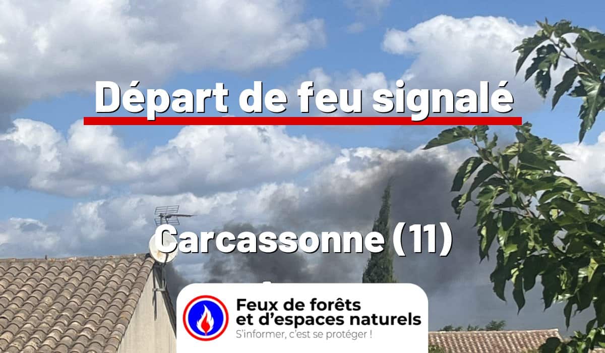 Carcassonne (11)