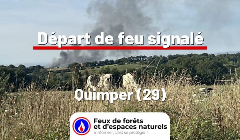Quimper (29)