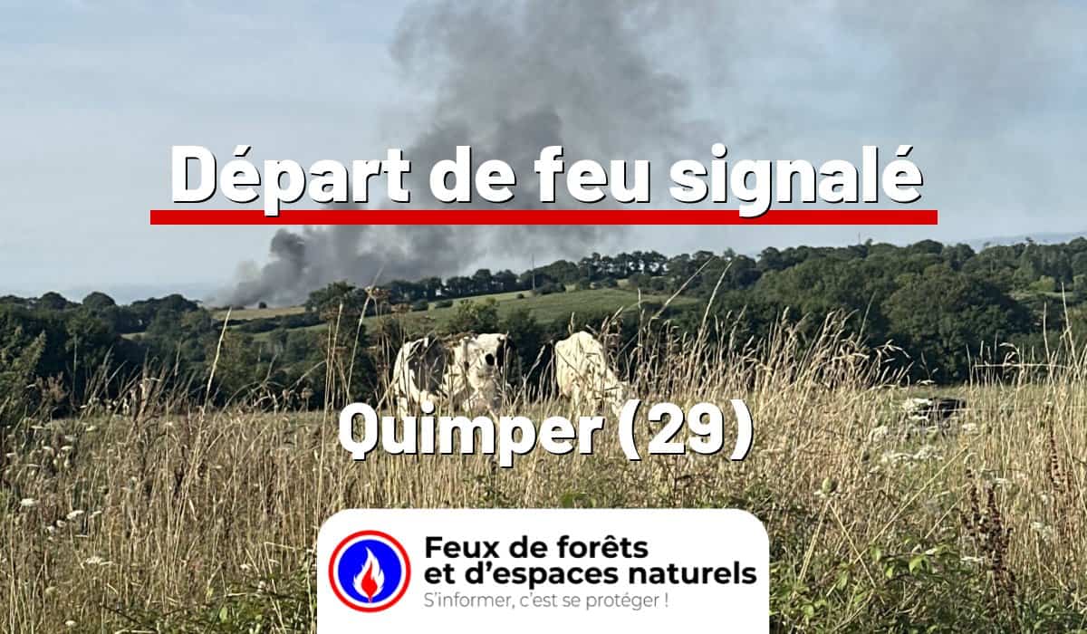 Quimper (29)