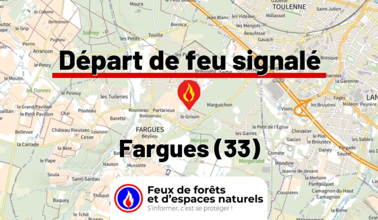 Fargues (33)