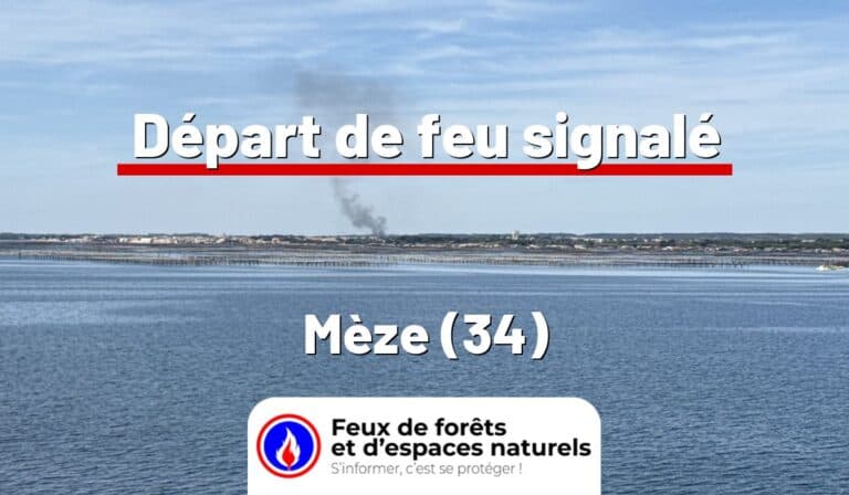 Mèze (34)