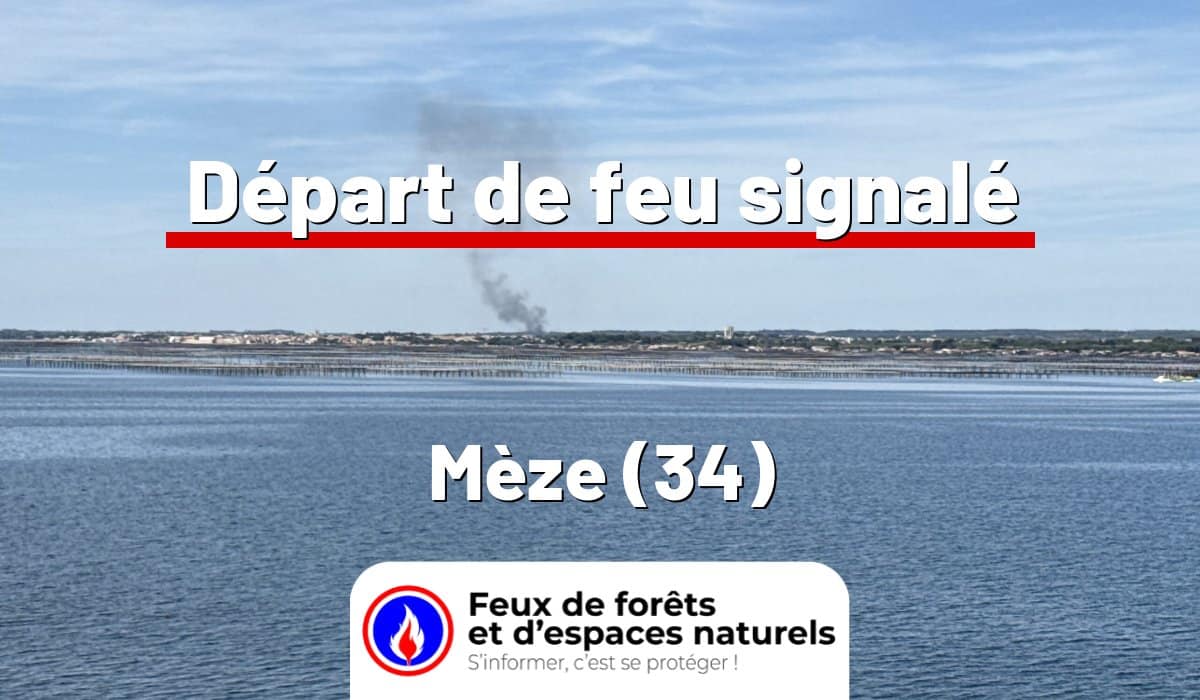 Mèze (34)