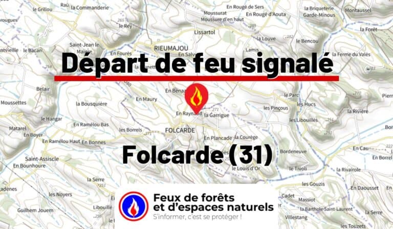 Folcarde (31)