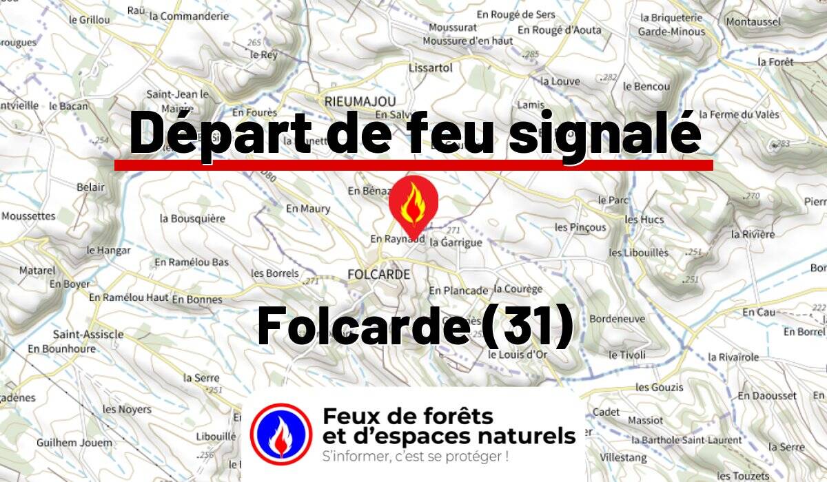 Folcarde (31)