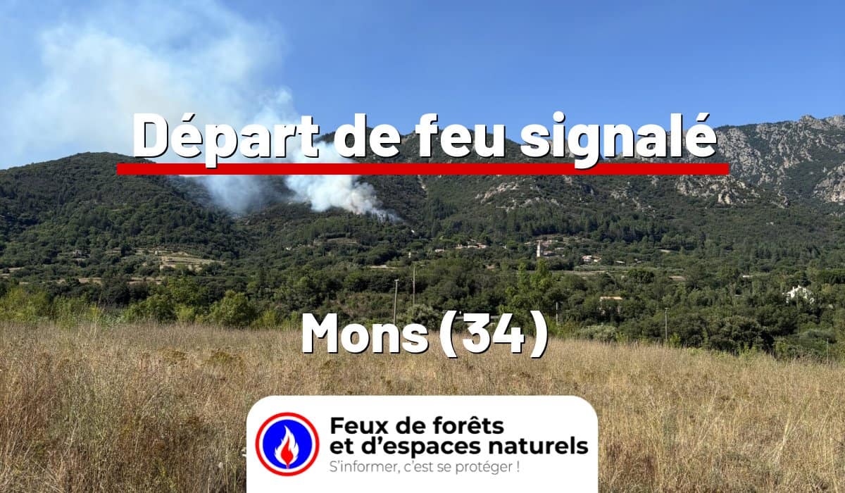Mons (34)