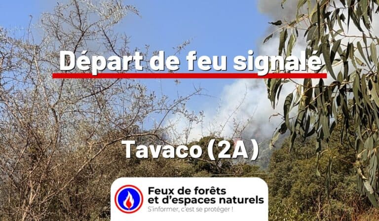 Tavaco (2A)