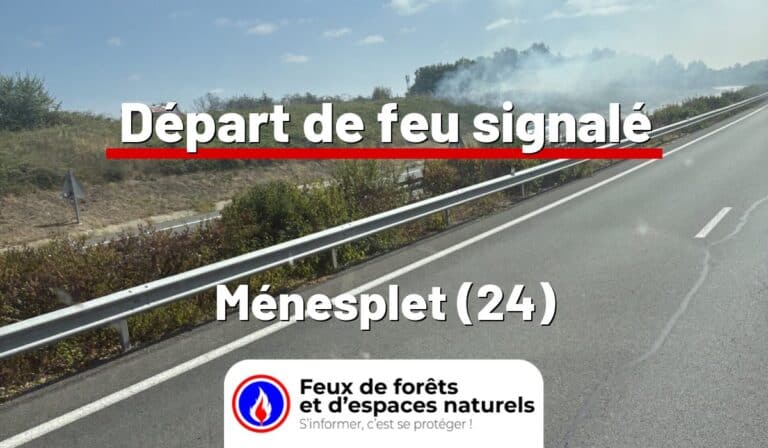 Ménesplet (24)