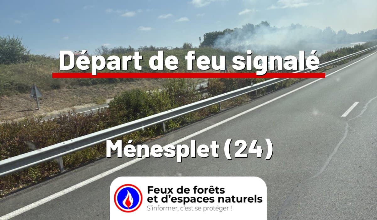 Ménesplet (24)