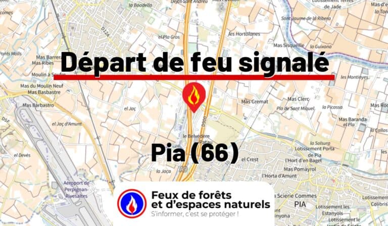 Pia (66)