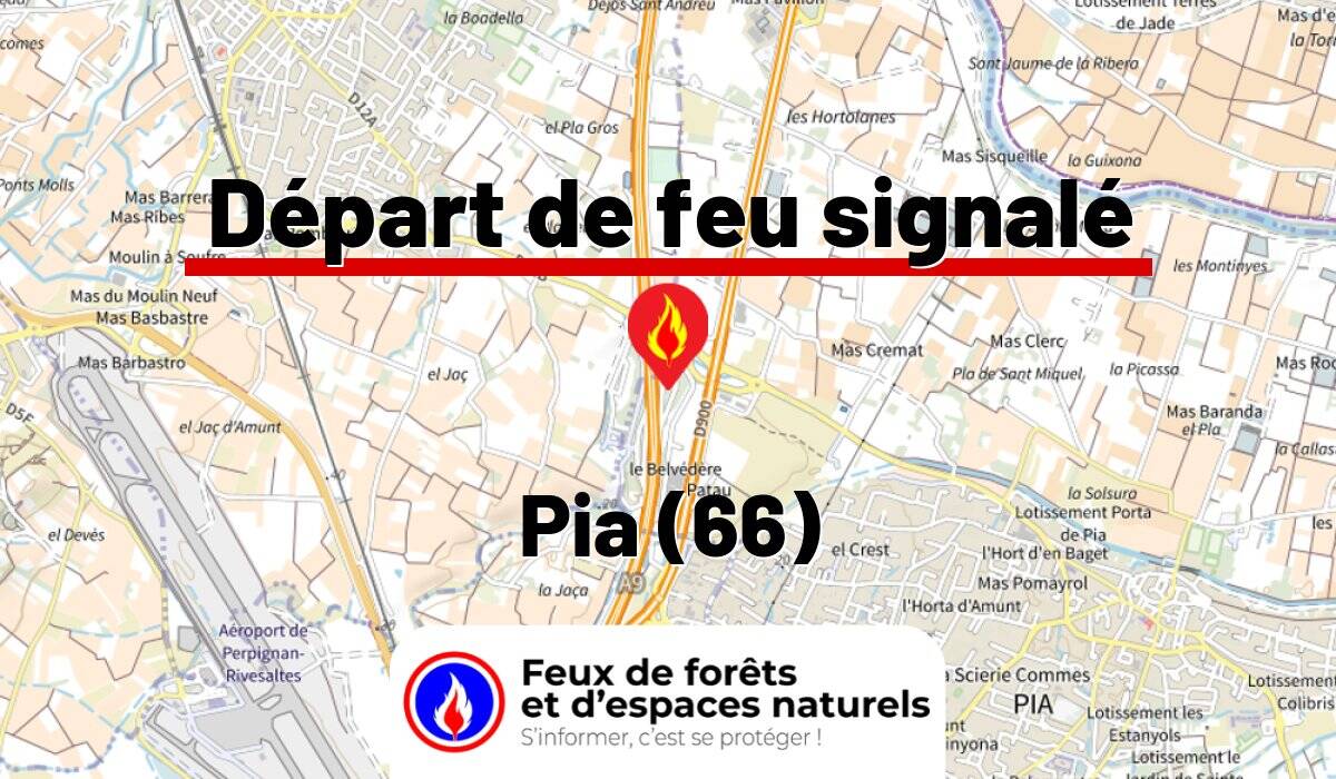 Pia (66)