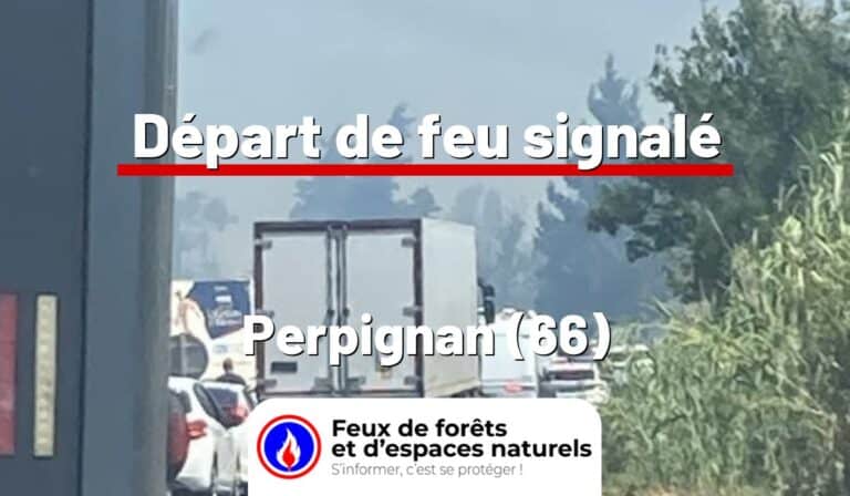 Perpignan (66)