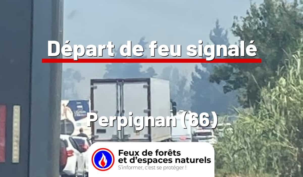 Perpignan (66)