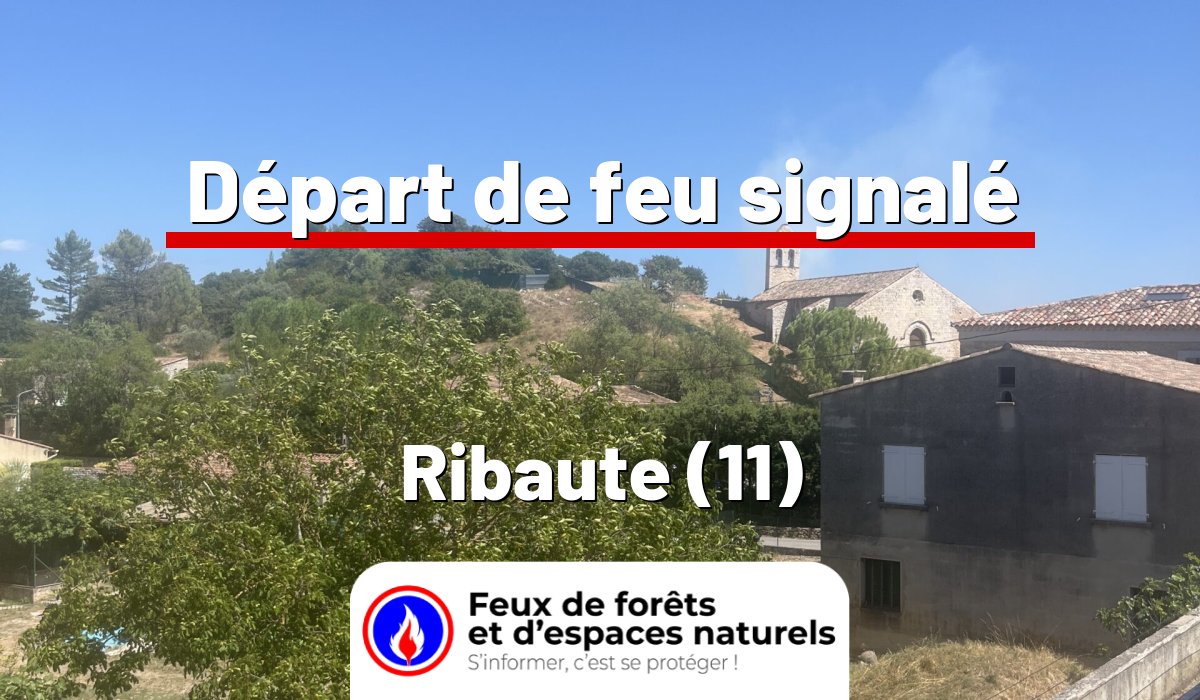 Ribaute (11)