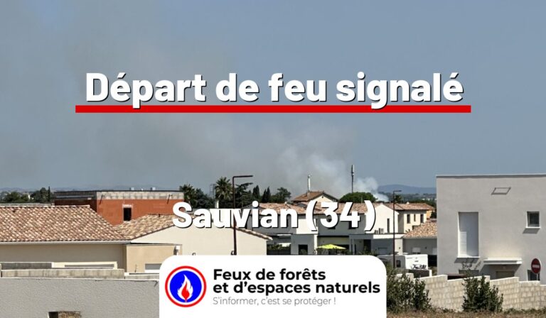 Sauvian (34)