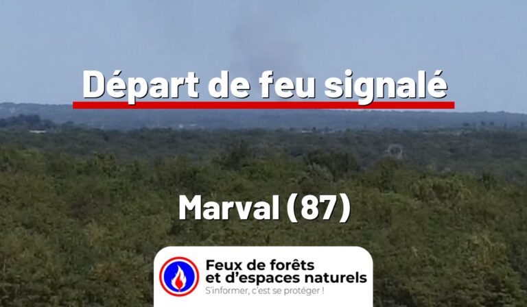 Marval (87)