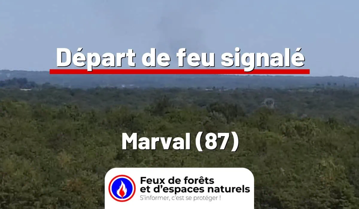 Marval (87)