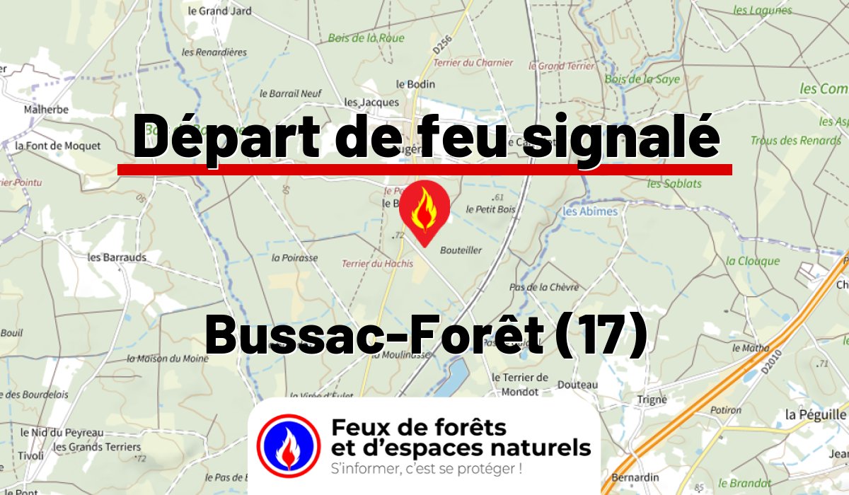 Bussac-Forêt (17)
