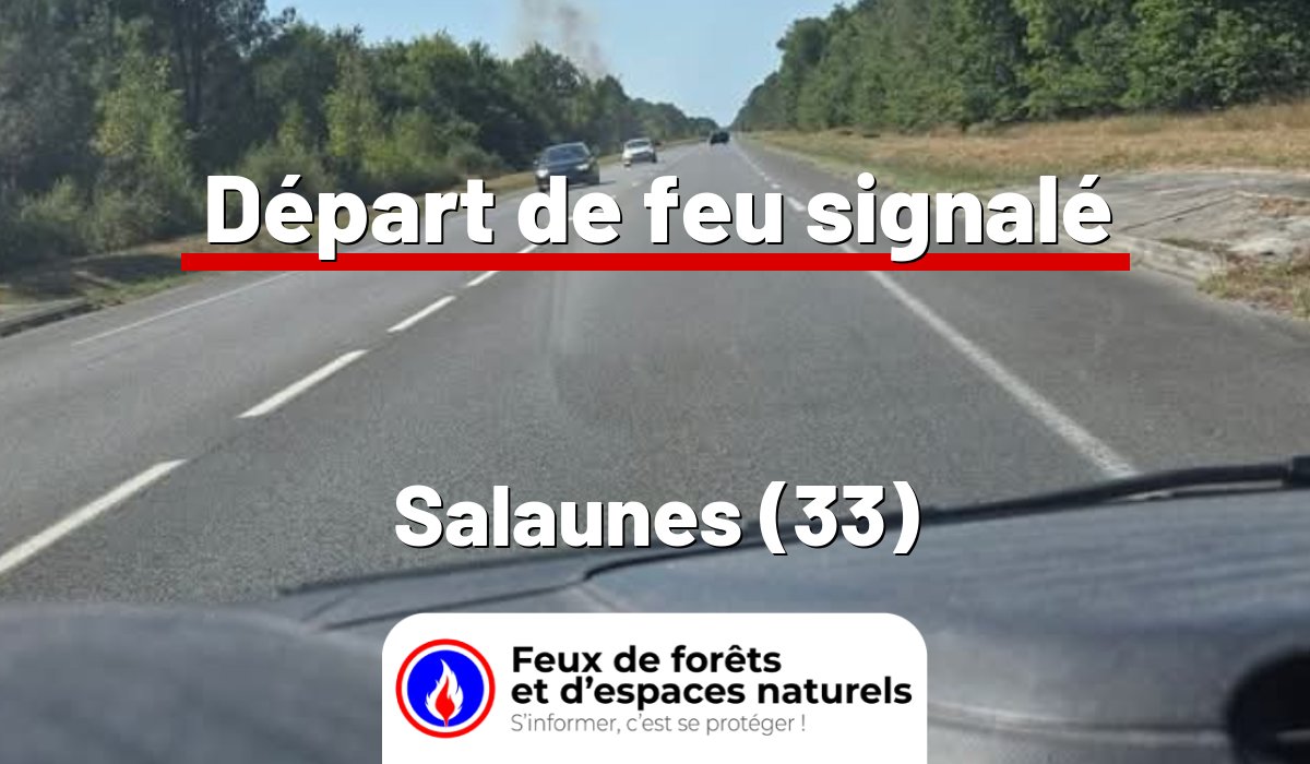 Salaunes (33)